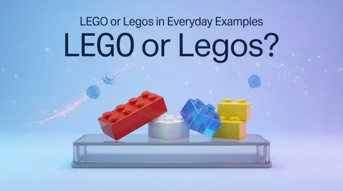 LEGO or Legos in Everyday Examples