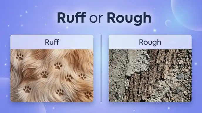 Ruff or Rough