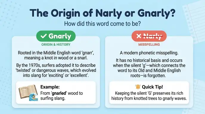 The Origin of Narly or Gnarly